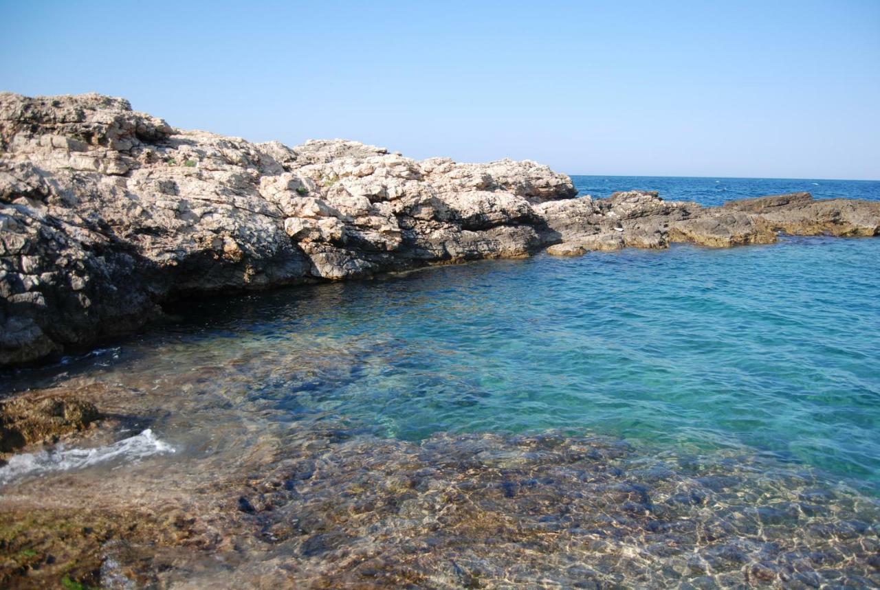 Eagle'S Nest Villa Polignano a Mare Ngoại thất bức ảnh