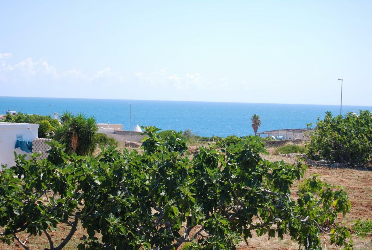 Eagle'S Nest Villa Polignano a Mare Ngoại thất bức ảnh